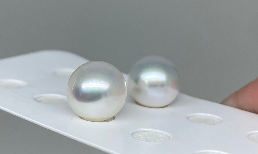 White South Sea Pearls Earrings Silver-Rose Overtones