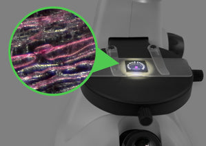 Plugable 800x Inverted Digital/Optical USB Microscope Nav Image 3