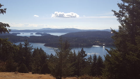 View from Turtelback Mountain, Orcas Island