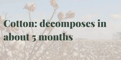 How long does cotton take to decompose? 