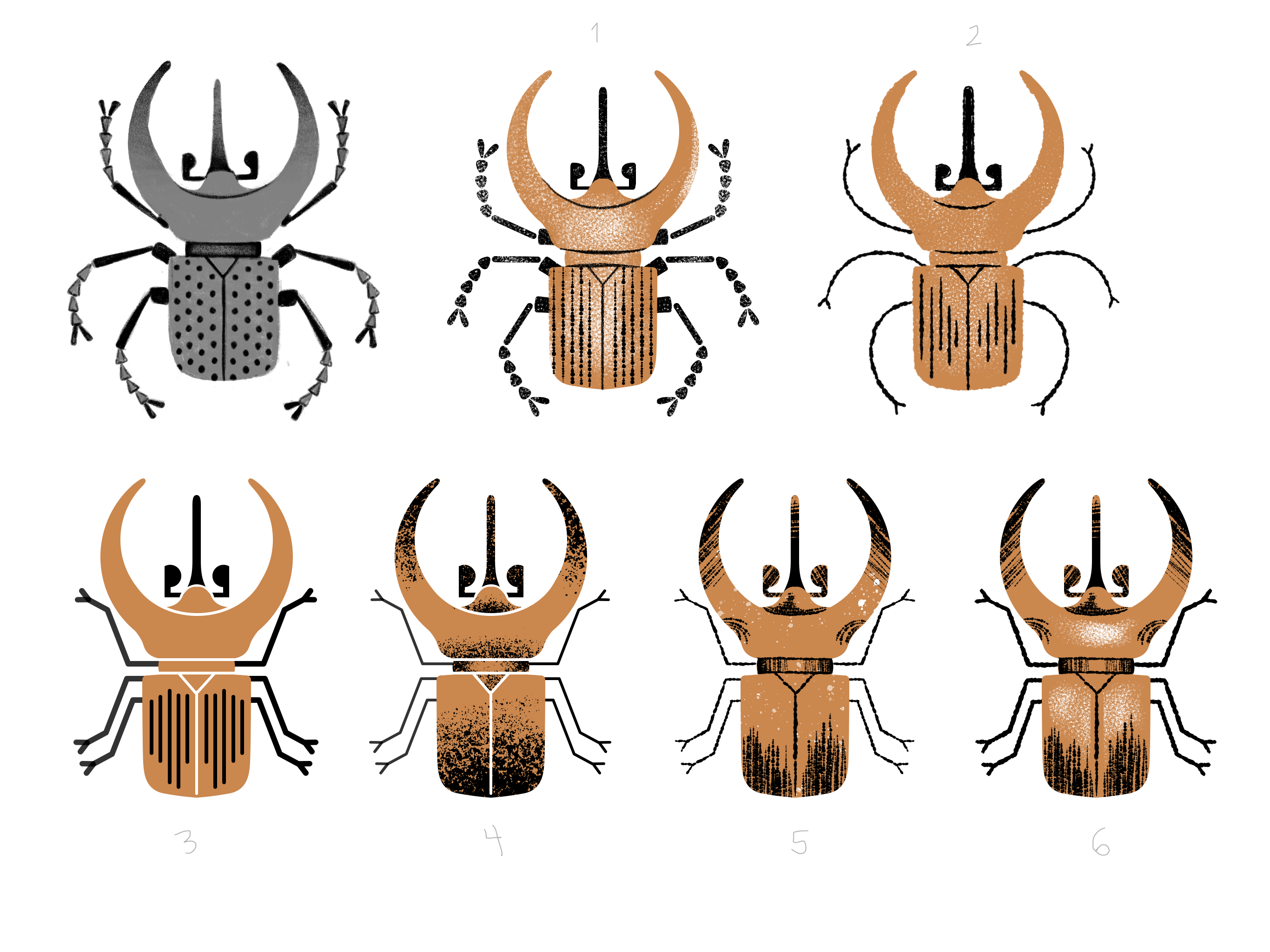 Different illustrations of a similar brown beetle