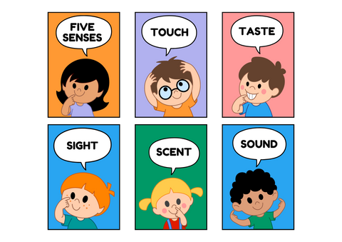 Five senses, five sense organs