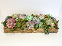 North Wood Blooms LLC Northwoods Succulent Garden on Ironwood Log from Wisconsin