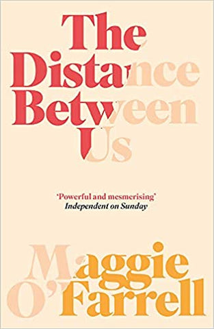 The Distance Between Us Book