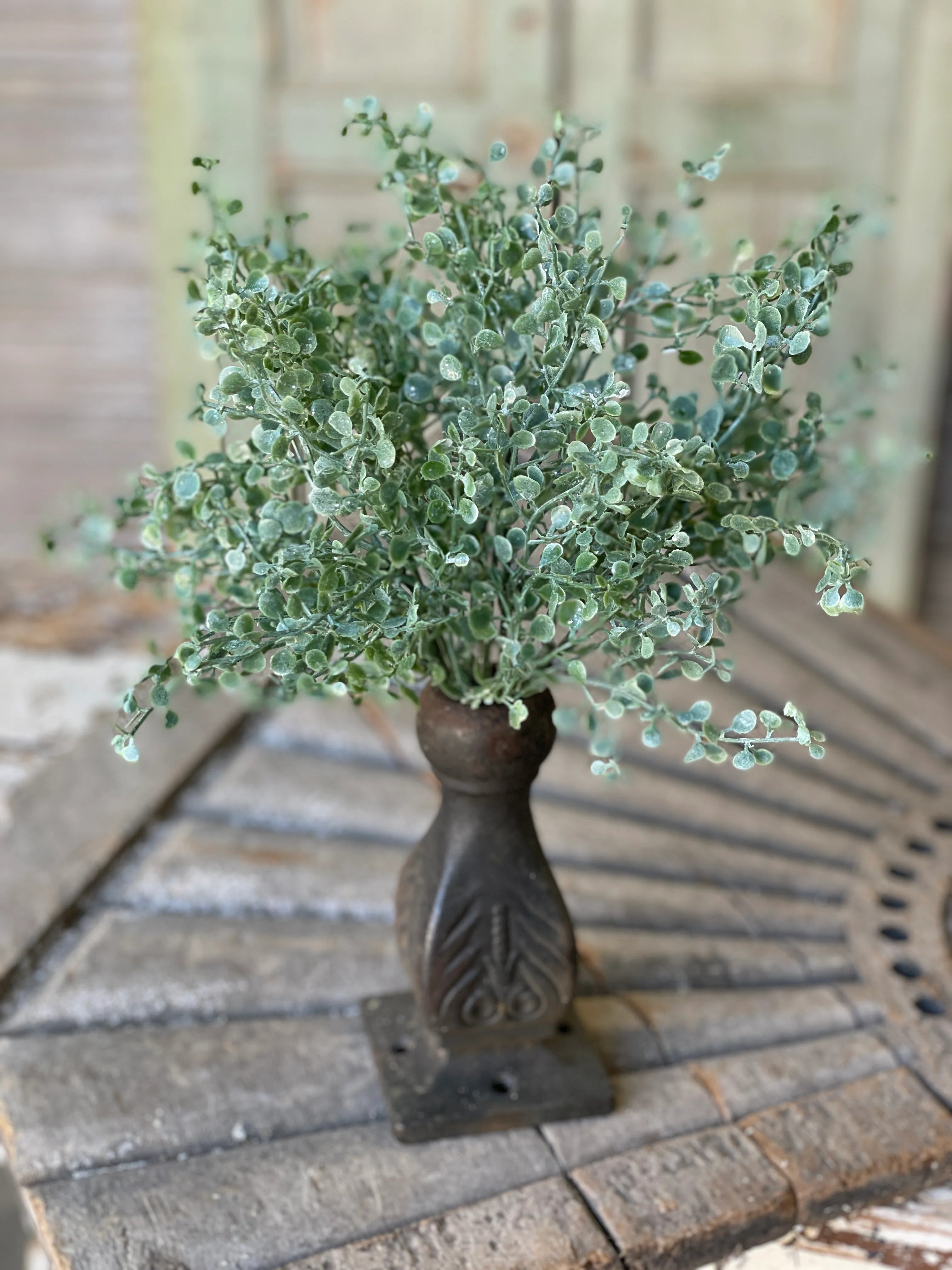Shimmering Tremble Leaf Bush | 13" |