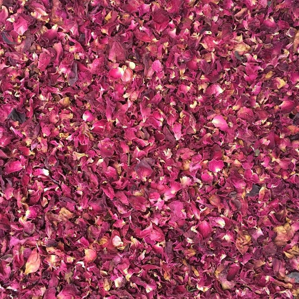 rose petals