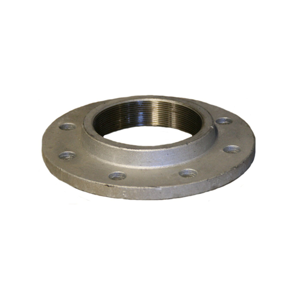 Galvanised Flanges Threaded BSP Fitting – Land and Water Technology