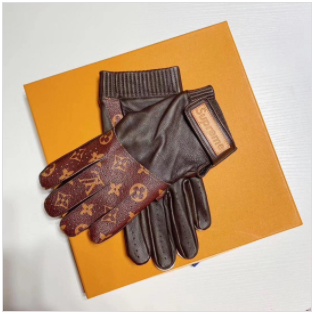 pubertet oase Modernisere Supreme x Louis Vuitton leather gloves – Fame Shoppers Center