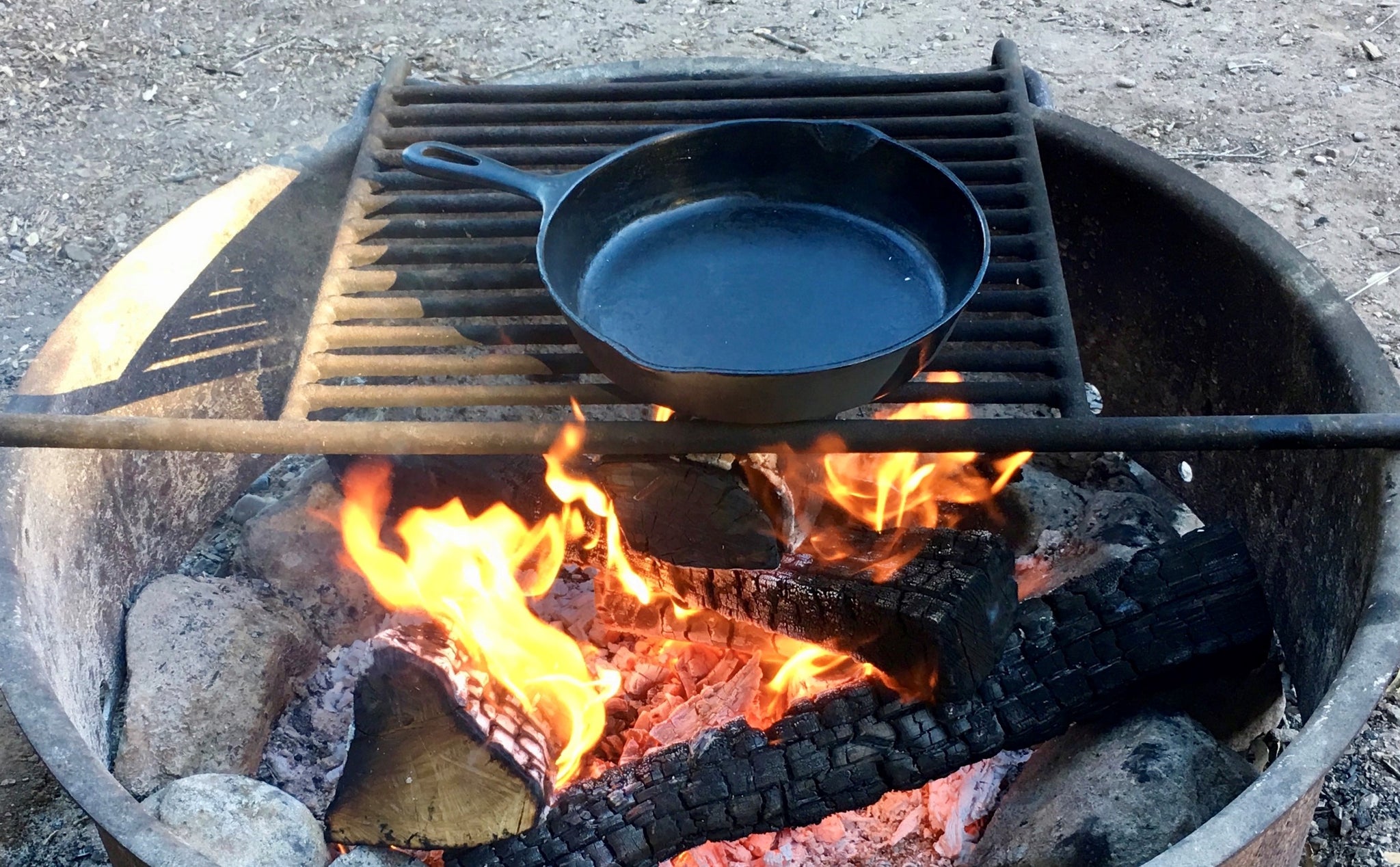 One Skillet Campfire Meal Garlic Herb Roasted Chicken And