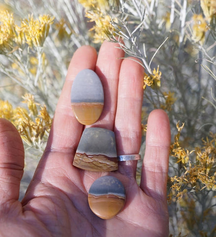 a hand holding 3 landscape jasper stones