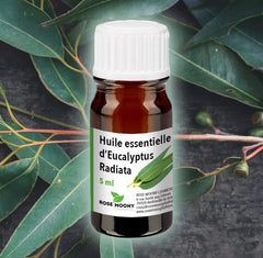 huile essentielle eucalyptus radiata