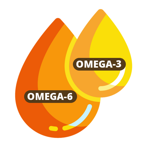 omega 3 omega 6