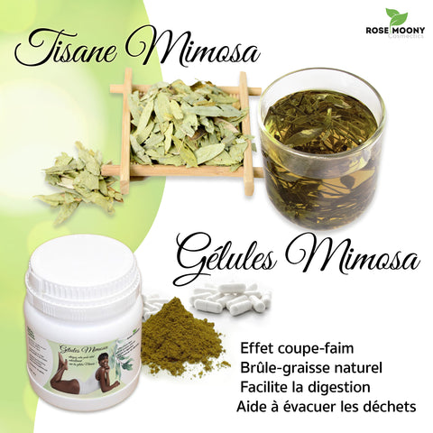 gélules et tisane minceur Mimosa de Rose Moony