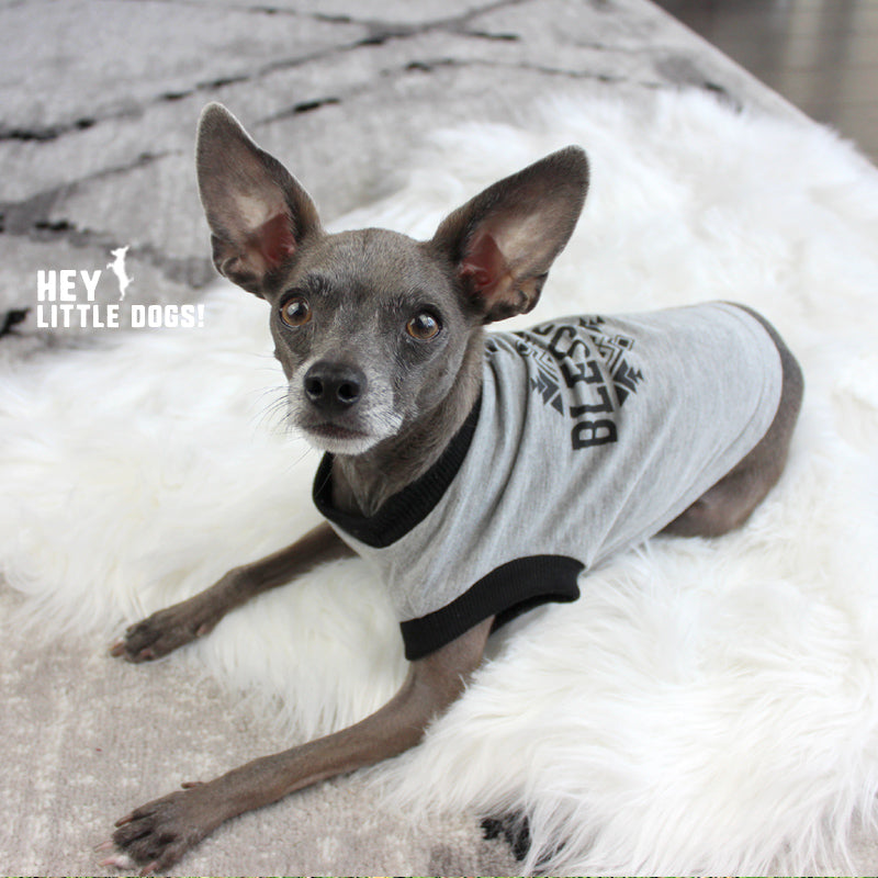 Blessed Pup Lotus Graphic T-Shirt for Dogs - Hey Little Dogs!