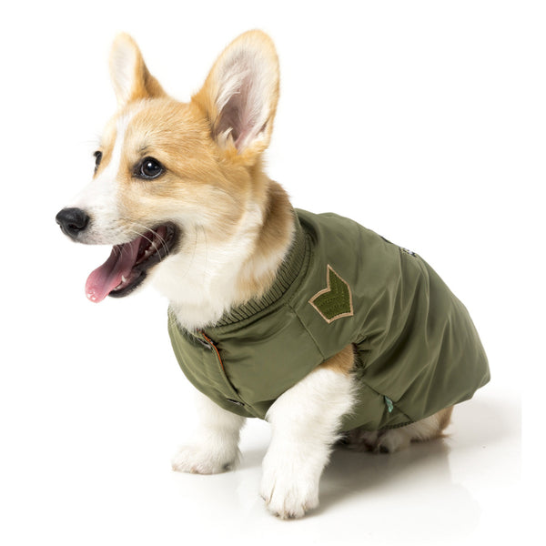 Air Force One Bomber Jacket for Dogs - Hey Little Dogs!