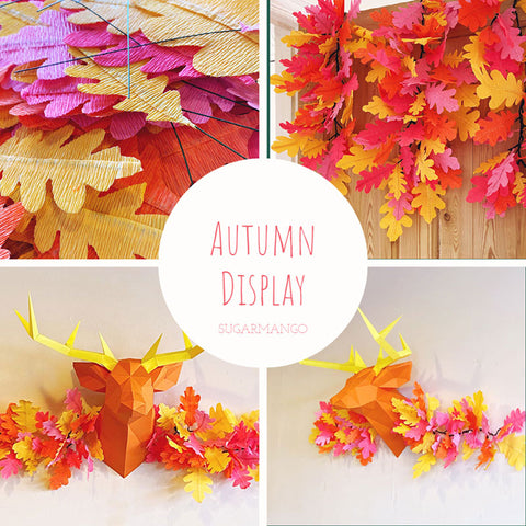 Bournmouth boutique autumn display