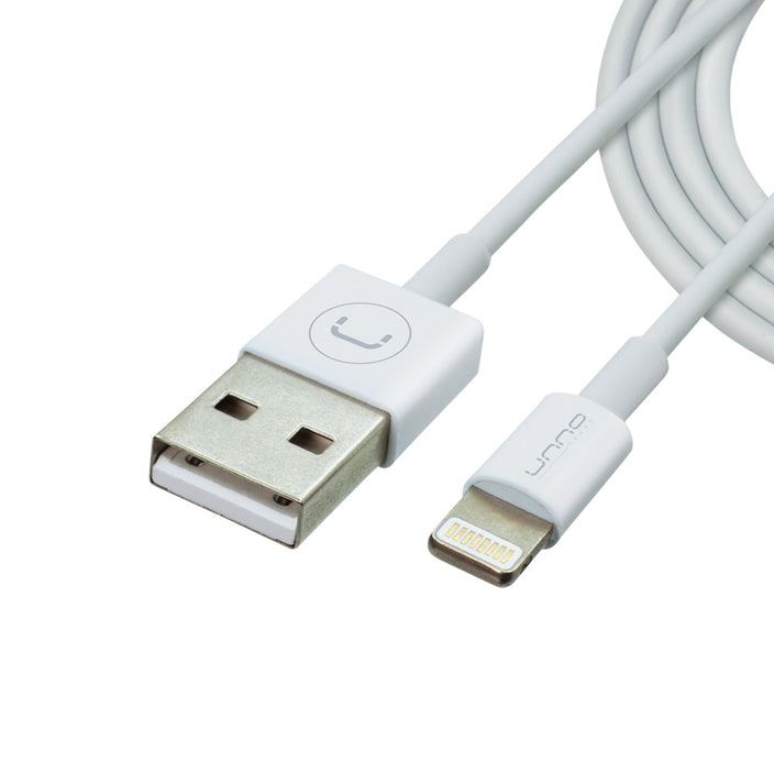 LIGHTNING CABLE | 3 FT