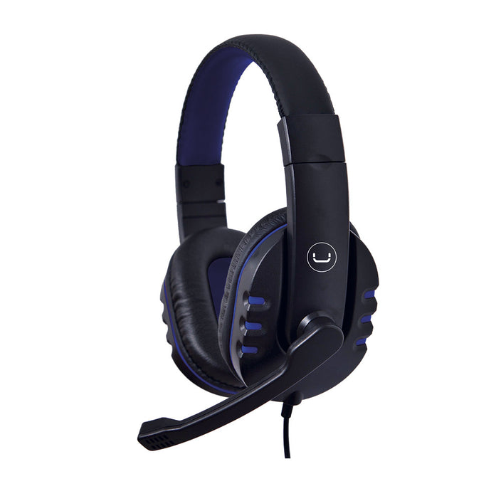 ACE 13 HEADSET USB WITH MIC