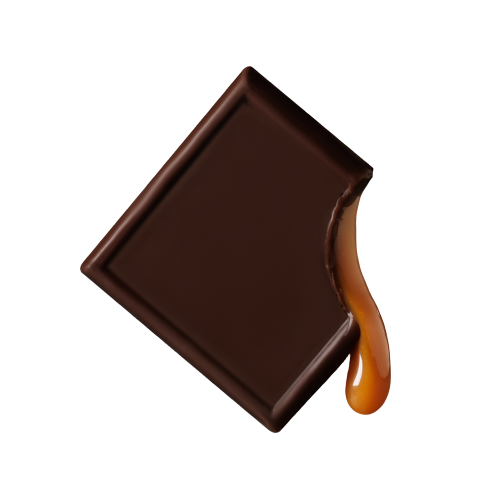 Dark Chocolate Salted Caramel Bites