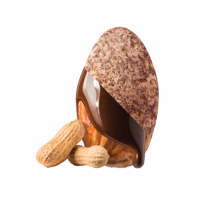SkinnyDipped, Beurre de cacahuète au chocolat noir individuel 0,53 oz