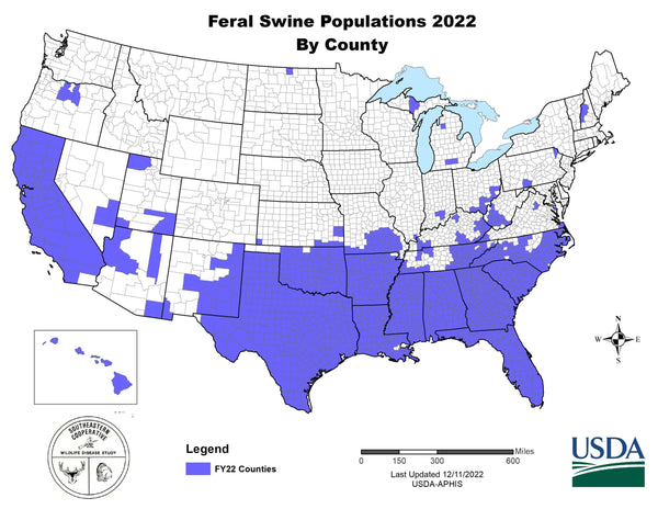 Feral Swine Population Map (2023)