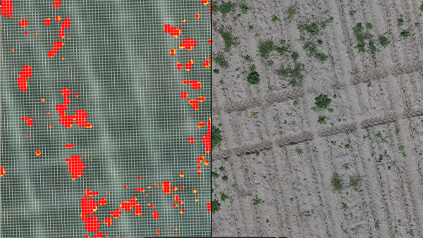 Spot Spraying - Prescription maps