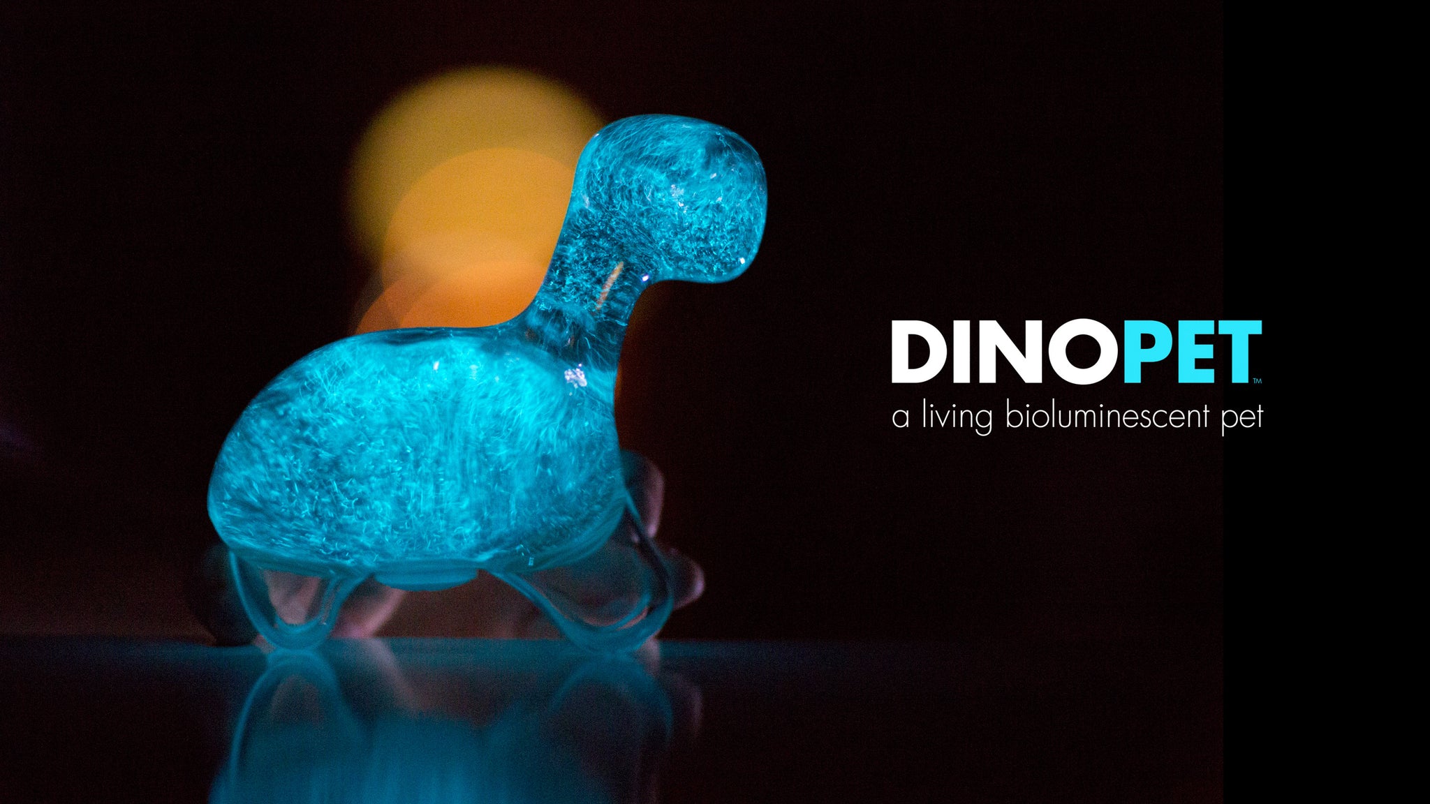 Dino Pet from BioPop