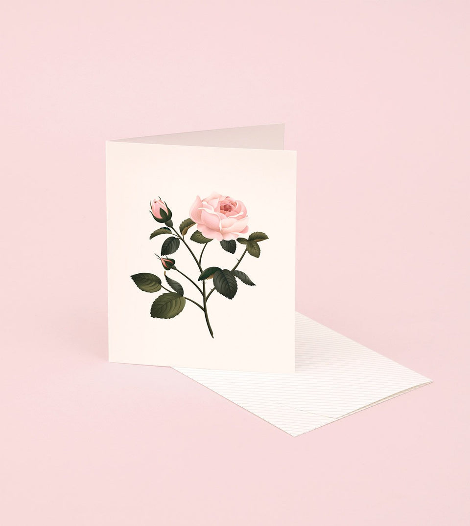 Botanical Scented Card - Rose - SG06 - Clap Clap