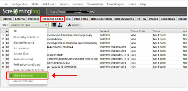 Screaming frog - client error screenshot