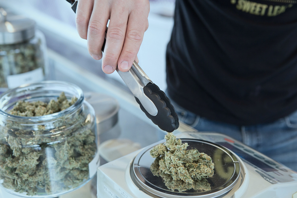 Hand with tongs weighing out weed on scale