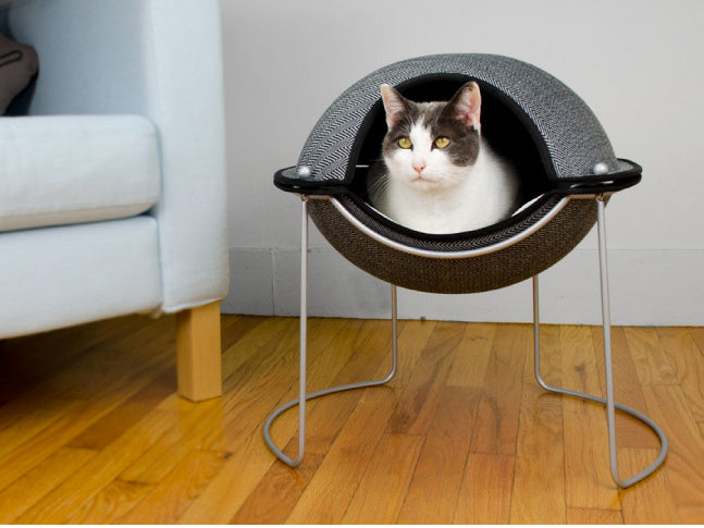 Ny発の猫用おしゃれベッド Pod Bed ポッドベッド モノオモイ Mono Omoi