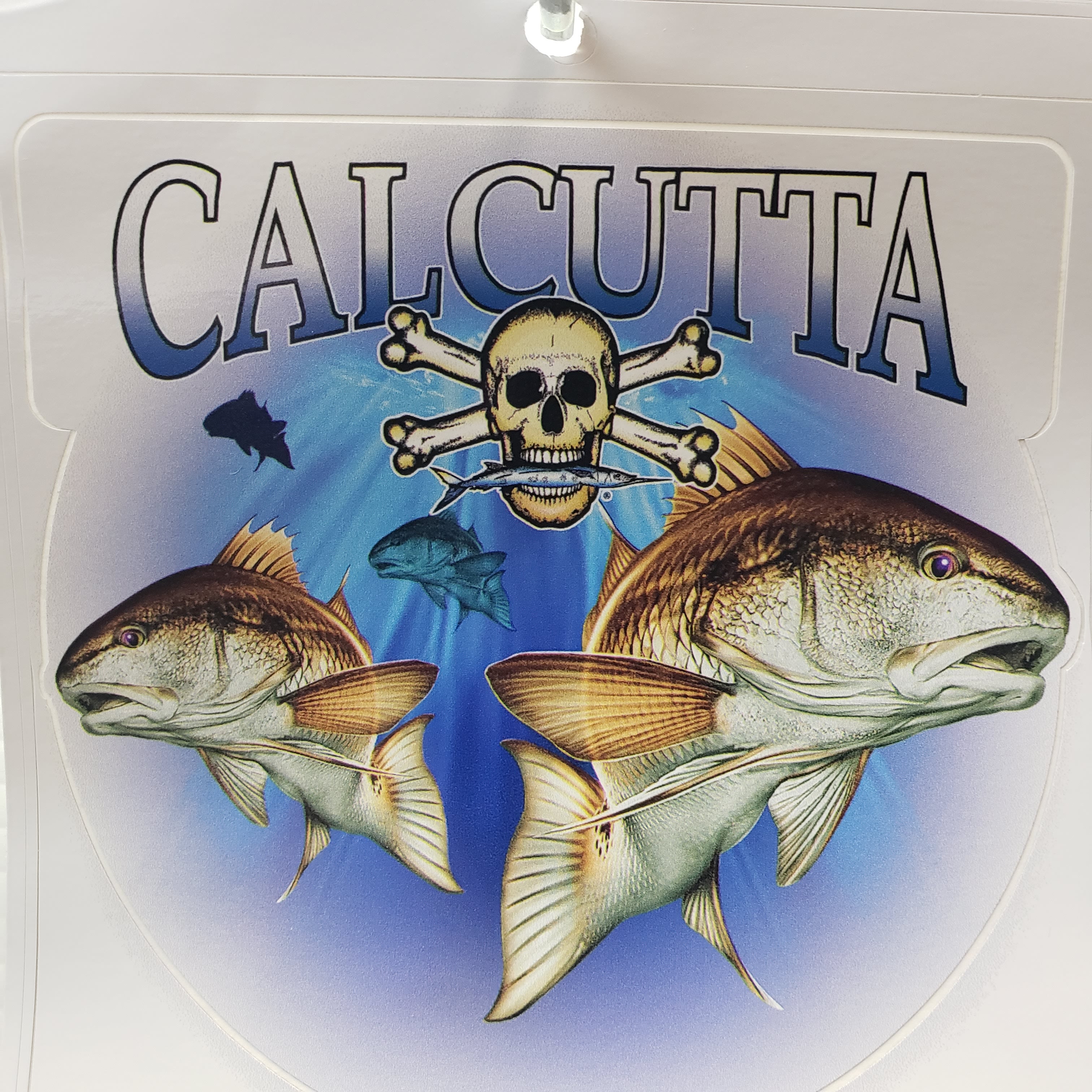 new-calcutta-decal-4-x-5-11-50-picclick