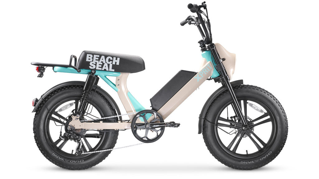 beach-seal-electric-bike