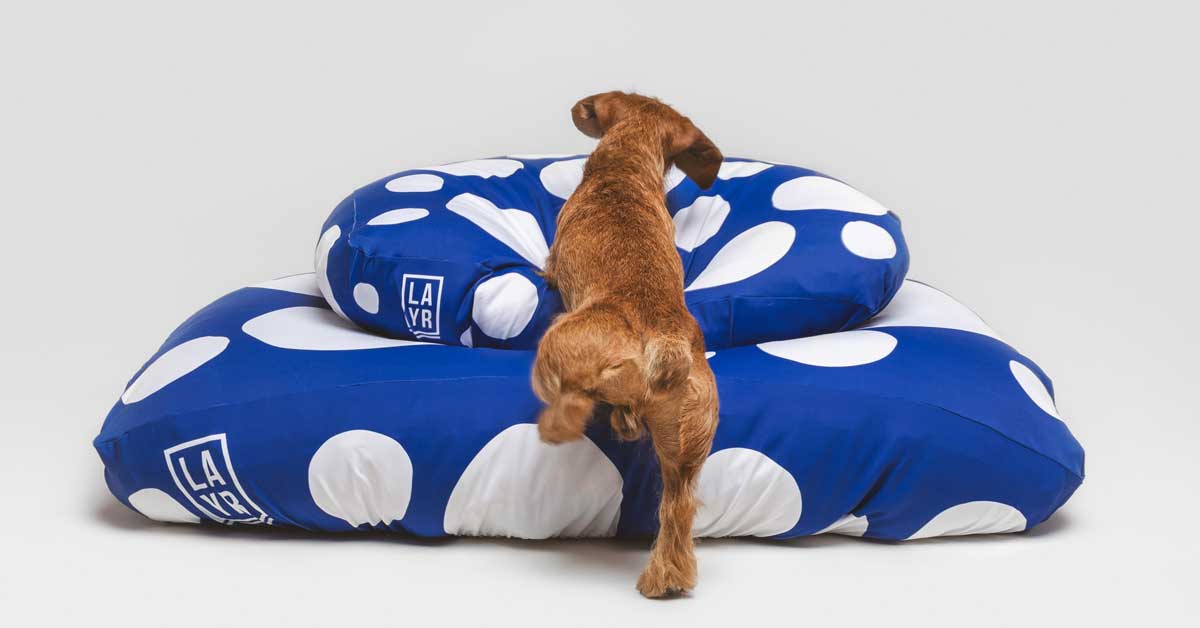 medium size lv dog bed