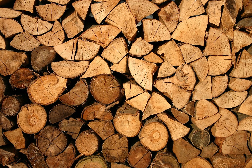 Stack of cut timber