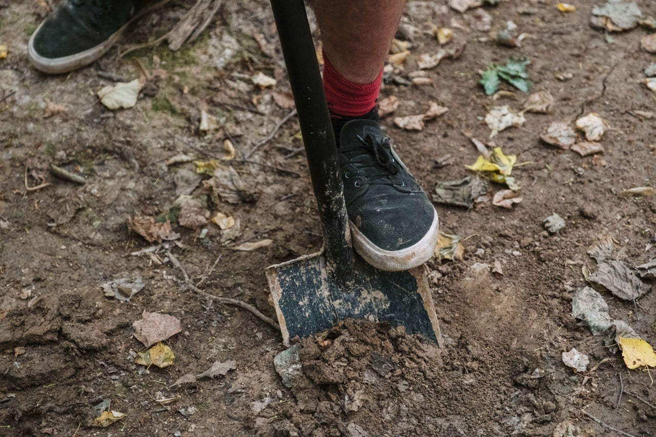 Digging into composted earth