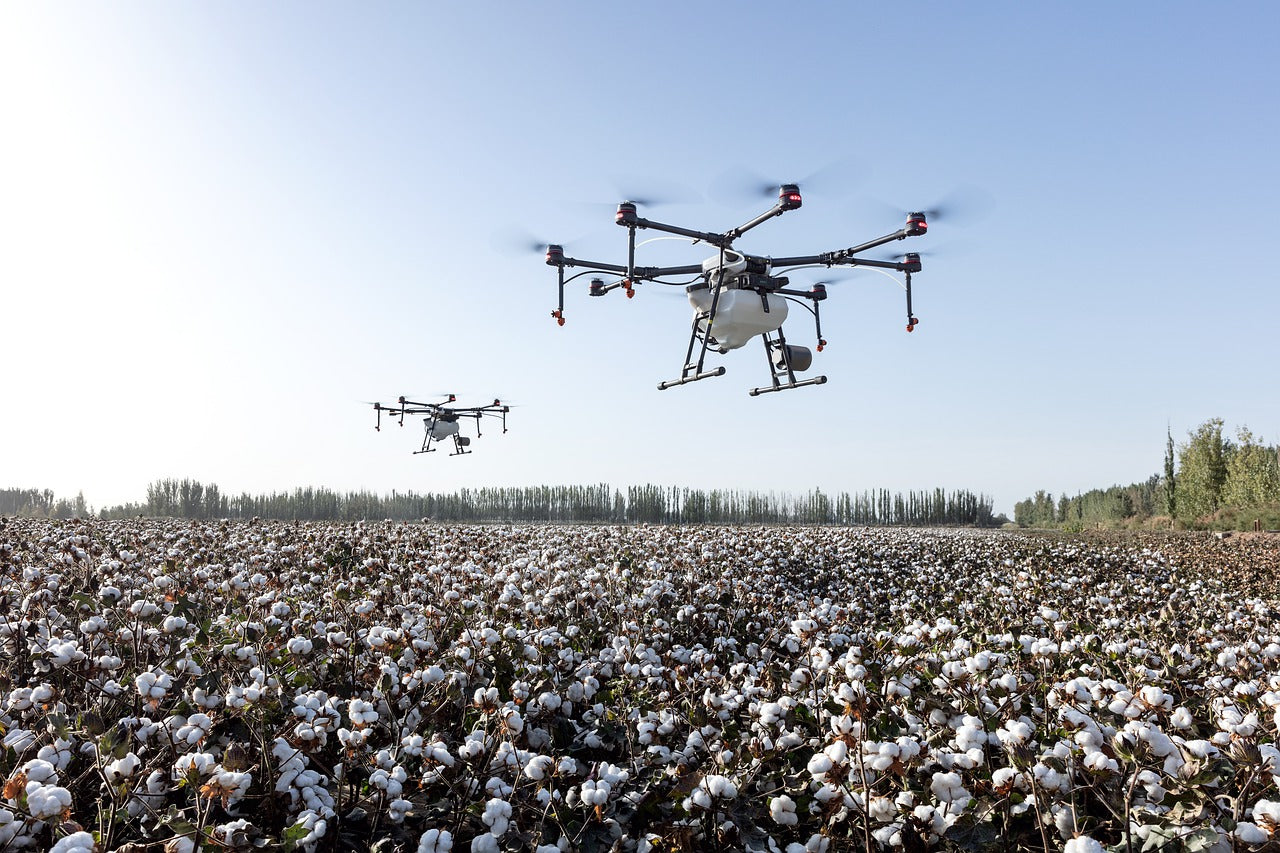 Drones flying over a cotton field