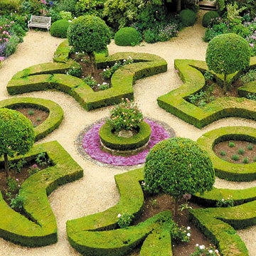 French garden scene