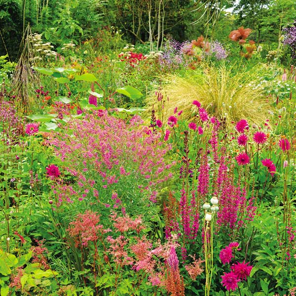 Irish garden scene