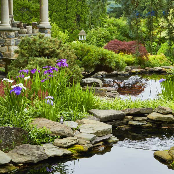 Brandywine Valley garden scene