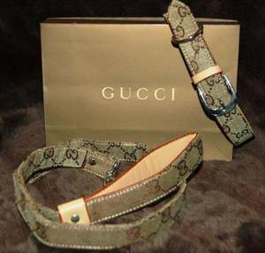 gucci leather dog collar