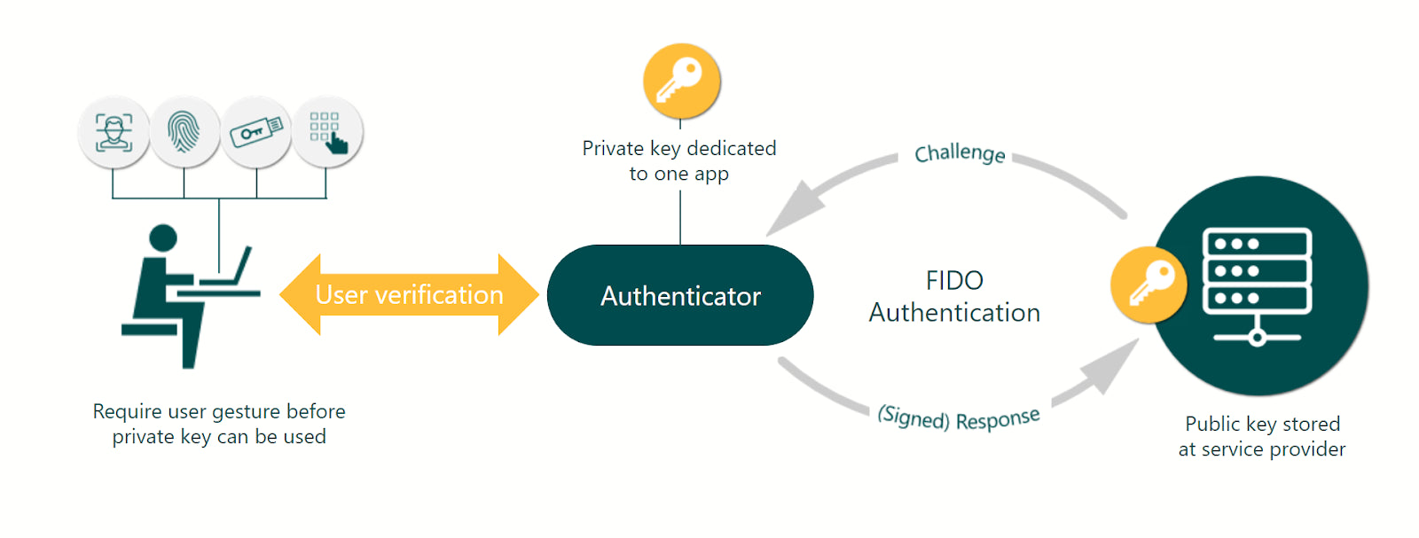 How does FIDO2 authetnication work
