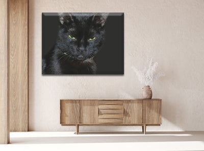 Acrylic Modern Wall Art Cat - Animals In The Wild Black and White Series - Interior Design NFT - Acrylic Wall Art - Picture Photo Printing Artwork - Multiple Size Options