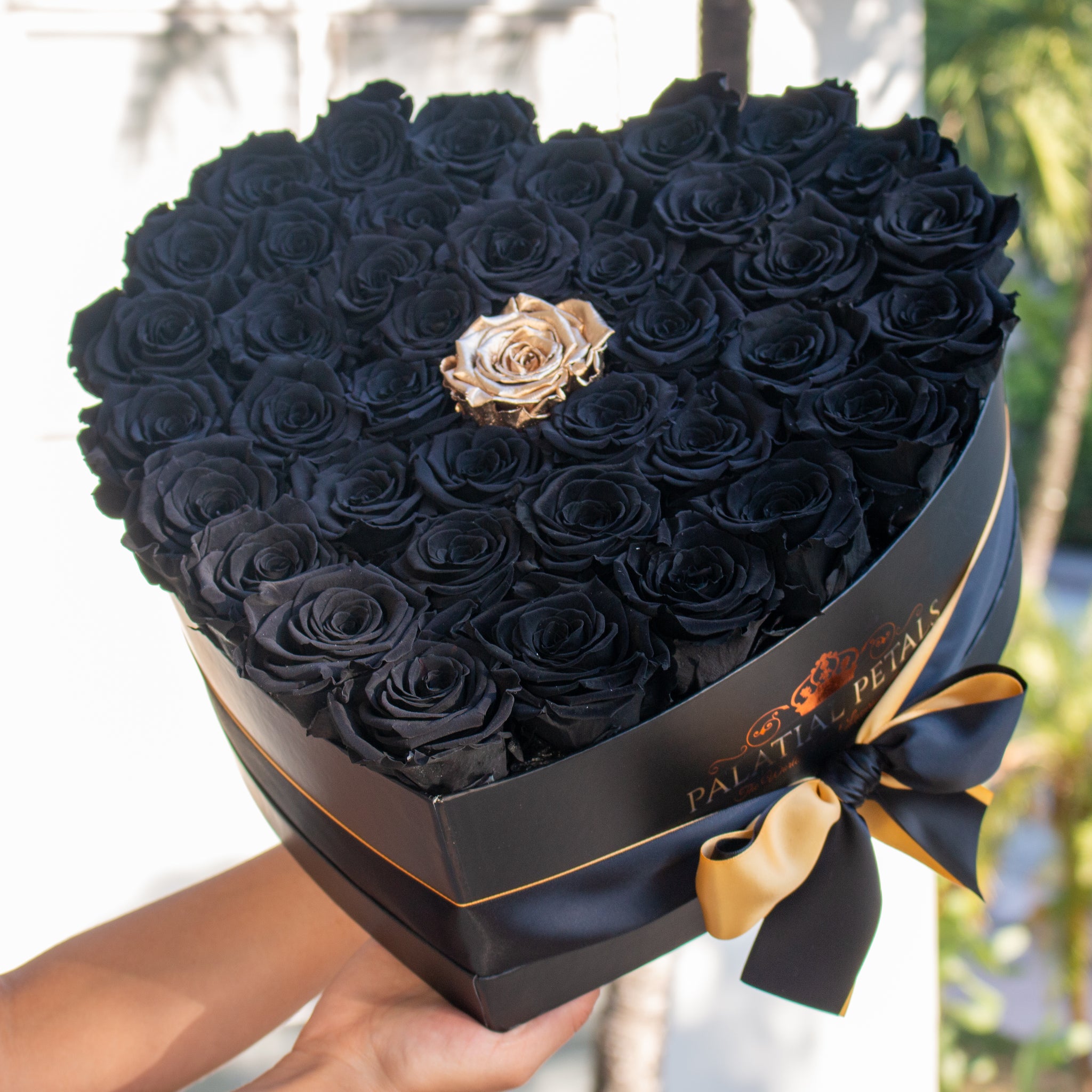 Black Roses - Facts and Trivia From Yesterday and Today – Amarante