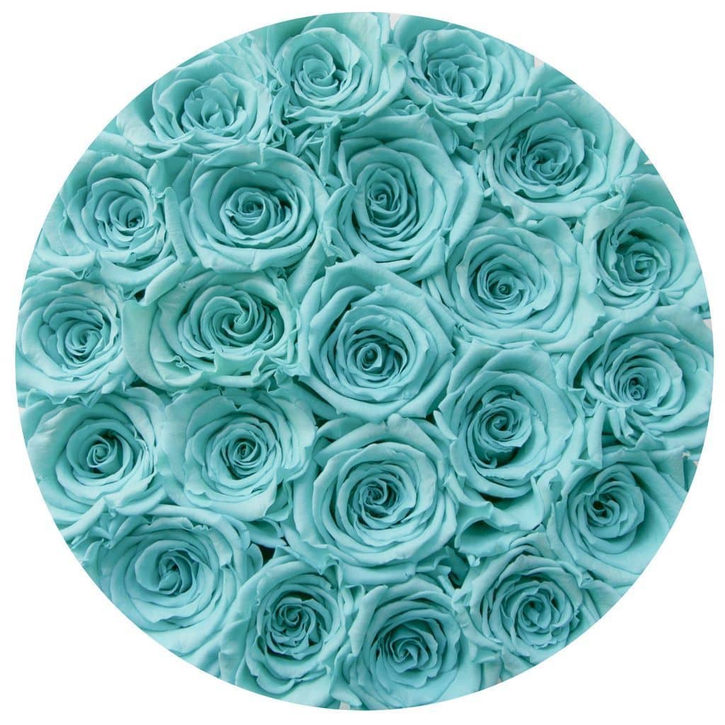 tiffany blue roses