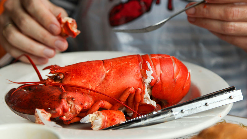 How To Crack and Eat a Maine Lobster | Get Maine Lobster
