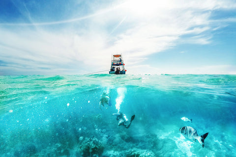 fishing boat in the middle of the ocean with fishermen and fish together in the water