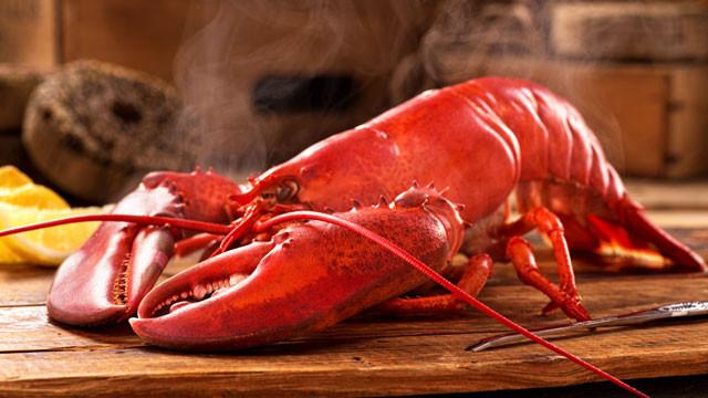 Live Maine Lobsters (1.1 - 1.2 lbs) | Get Maine Lobster