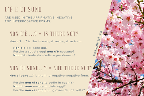 THERE IS and THERE ARE in Italian - Affirmative, negative, interrogative, and interrogative'negative forms.