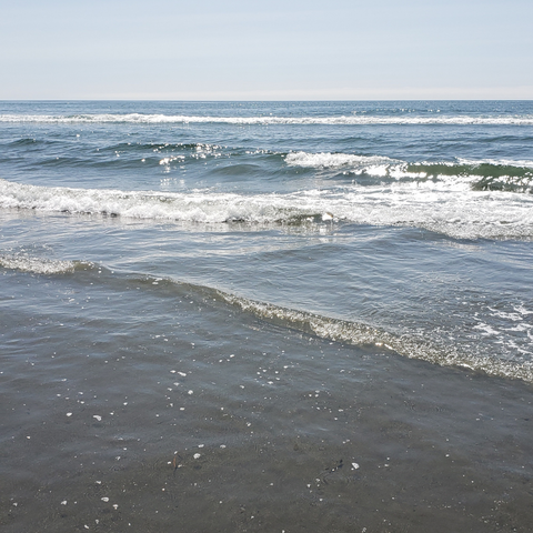 pacific ocean on a clear day